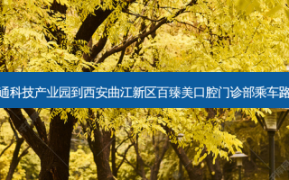 新通科技产业园到西安曲江新区百臻美口腔门诊部乘车路线