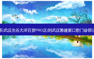 奈雪的茶(武汉光谷大洋百货PRO店)到武汉雅健新口腔门诊部公交路线