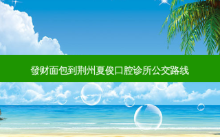 發财面包到荆州夏俊口腔诊所公交路线