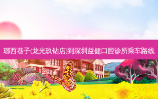 瑯西巷子(龙光玖钻店)到深圳益健口腔诊所乘车路线