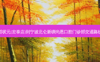 稻状元(宏泰店)到宁波北仑新碶尚恩口腔门诊部交通路线