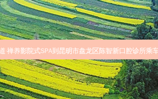 和足道·禅养影院式SPA到昆明市盘龙区陈智新口腔诊所乘车路线
