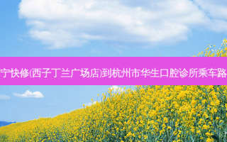 苏宁快修(西子丁兰广场店)到杭州市华生口腔诊所乘车路线