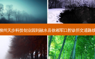 柳州天步科技创业园到融水县徐湘军口腔诊所交通路线