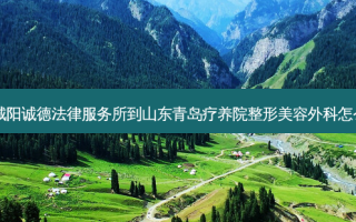 青岛城阳诚德法律服务所到山东青岛疗养院整形美容外科怎么走？