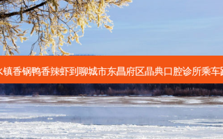 梁水镇香锅鸭香辣虾到聊城市东昌府区晶典口腔诊所乘车路线