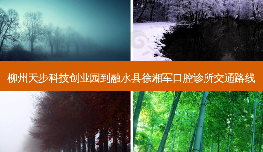 柳州天步科技创业园到融水县徐湘军口腔诊所交通路线-第1张图片-臻颜网 柳州天步科技创业园到融水县徐湘军口腔诊所交通路线-第1张图片-臻颜网