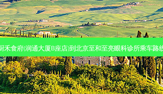 厨禾食府(润通大厦B座店)到北京至和至亮眼科诊所乘车路线-第1张图片-臻颜网 厨禾食府(润通大厦B座店)到北京至和至亮眼科诊所乘车路线-第1张图片-臻颜网