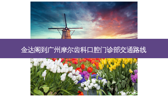 金达阁到广州摩尔齿科口腔门诊部交通路线-第1张图片-臻颜网 金达阁到广州摩尔齿科口腔门诊部交通路线-第1张图片-臻颜网