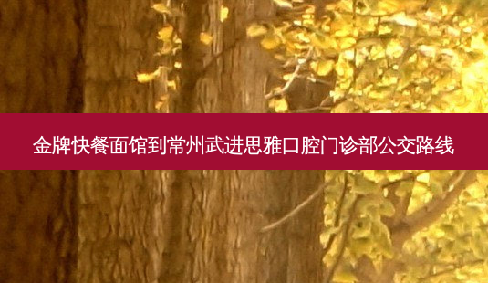 金牌快餐面馆到常州武进思雅口腔门诊部公交路线-第1张图片-臻颜网 金牌快餐面馆到常州武进思雅口腔门诊部公交路线-第1张图片-臻颜网