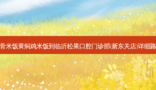 排骨米饭黄焖鸡米饭到临沂松果口腔门诊部(新东关店)详细路线-第1张图片-臻颜网 排骨米饭黄焖鸡米饭到临沂松果口腔门诊部(新东关店)详细路线-第1张图片-臻颜网
