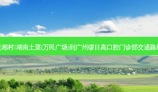 老湘村•湖南土菜(万民广场)到广州缪日高口腔门诊部交通路线-第1张图片-臻颜网 老湘村•湖南土菜(万民广场)到广州缪日高口腔门诊部交通路线-第1张图片-臻颜网