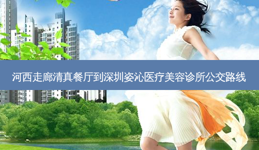 河西走廊清真餐厅到深圳姿沁医疗美容诊所公交路线-第1张图片-臻颜网 河西走廊清真餐厅到深圳姿沁医疗美容诊所公交路线-第1张图片-臻颜网