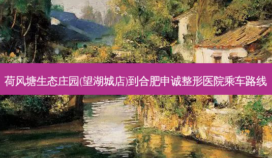 荷风塘生态庄园(望湖城店)到合肥申诚整形医院乘车路线-第1张图片-臻颜网 荷风塘生态庄园(望湖城店)到合肥申诚整形医院乘车路线-第1张图片-臻颜网
