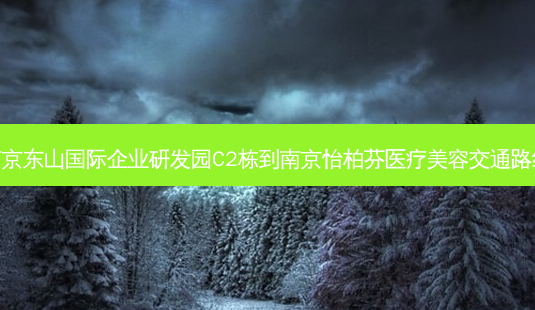 南京东山国际企业研发园C2栋到南京怡柏芬医疗美容交通路线-第1张图片-臻颜网 南京东山国际企业研发园C2栋到南京怡柏芬医疗美容交通路线-第1张图片-臻颜网