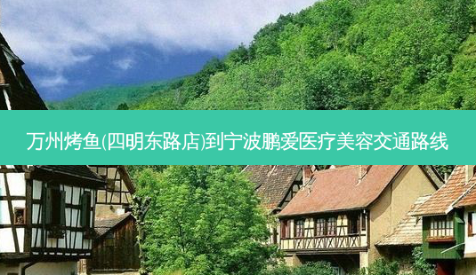 万州烤鱼(四明东路店)到宁波鹏爱医疗美容交通路线-第1张图片-臻颜网 万州烤鱼(四明东路店)到宁波鹏爱医疗美容交通路线-第1张图片-臻颜网