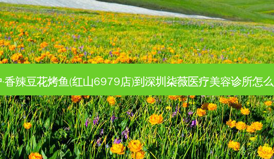 探炉·香辣豆花烤鱼(红山6979店)到深圳柒薇医疗美容诊所怎么走?-第1张图片-臻颜网 探炉·香辣豆花烤鱼(红山6979店)到深圳柒薇医疗美容诊所怎么走?-第1张图片-臻颜网