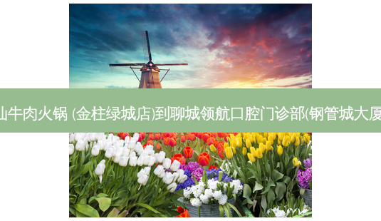 草牛园潮汕牛肉火锅 (金柱绿城店)到聊城领航口腔门诊部(钢管城大厦)交通路线-第1张图片-臻颜网 草牛园潮汕牛肉火锅 (金柱绿城店)到聊城领航口腔门诊部(钢管城大厦)交通路线-第1张图片-臻颜网