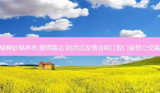 烫锅鲜砂锅串串(蔡锷路店)到武汉友情齿科口腔门诊部公交路线-第1张图片-臻颜网 烫锅鲜砂锅串串(蔡锷路店)到武汉友情齿科口腔门诊部公交路线-第1张图片-臻颜网