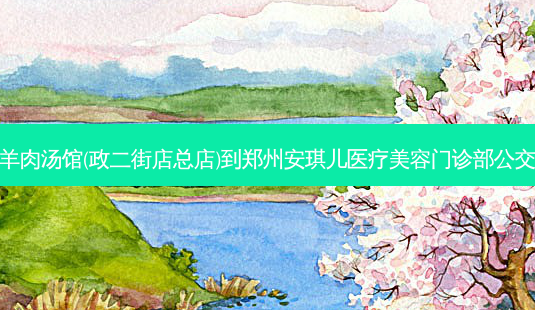 虢国羊肉汤馆(政二街店总店)到郑州安琪儿医疗美容门诊部公交路线-第1张图片-臻颜网 虢国羊肉汤馆(政二街店总店)到郑州安琪儿医疗美容门诊部公交路线-第1张图片-臻颜网