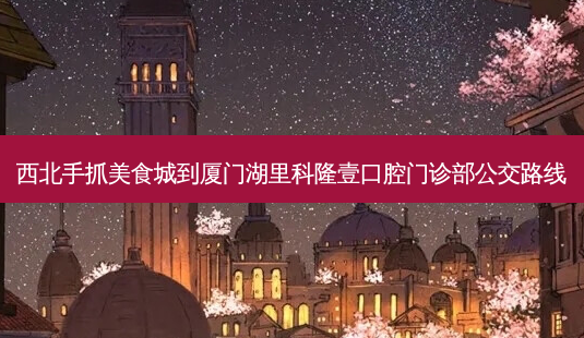 西北手抓美食城到厦门湖里科隆壹口腔门诊部公交路线-第1张图片-臻颜网 西北手抓美食城到厦门湖里科隆壹口腔门诊部公交路线-第1张图片-臻颜网