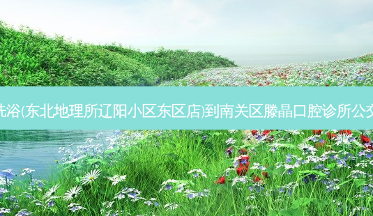 普阳洗浴(东北地理所辽阳小区东区店)到南关区滕晶口腔诊所公交路线-第1张图片-臻颜网 普阳洗浴(东北地理所辽阳小区东区店)到南关区滕晶口腔诊所公交路线-第1张图片-臻颜网