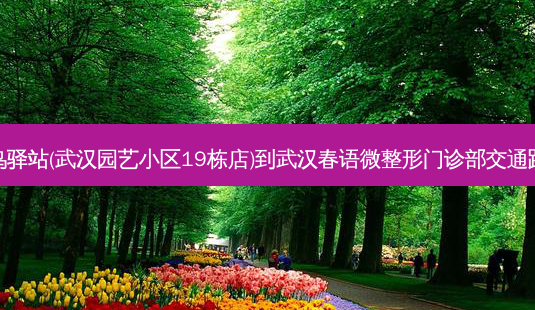 菜鸟驿站(武汉园艺小区19栋店)到武汉春语微整形门诊部交通路线-第1张图片-臻颜网 菜鸟驿站(武汉园艺小区19栋店)到武汉春语微整形门诊部交通路线-第1张图片-臻颜网