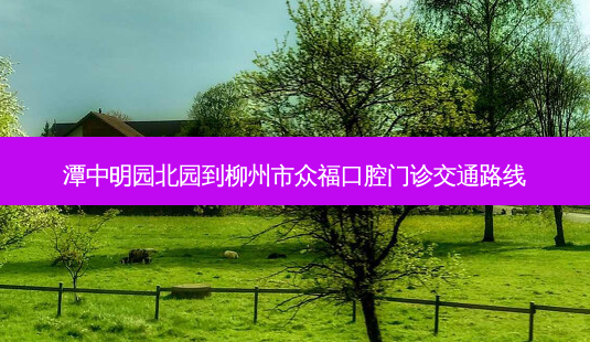 潭中明园北园到柳州市众福口腔门诊交通路线-第1张图片-臻颜网 潭中明园北园到柳州市众福口腔门诊交通路线-第1张图片-臻颜网