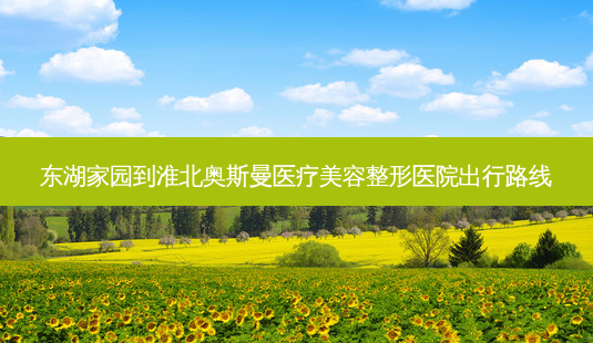 东湖家园到淮北奥斯曼医疗美容整形医院出行路线-第1张图片-臻颜网 东湖家园到淮北奥斯曼医疗美容整形医院出行路线-第1张图片-臻颜网