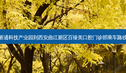 新通科技产业园到西安曲江新区百臻美口腔门诊部乘车路线-第1张图片-臻颜网 新通科技产业园到西安曲江新区百臻美口腔门诊部乘车路线-第1张图片-臻颜网