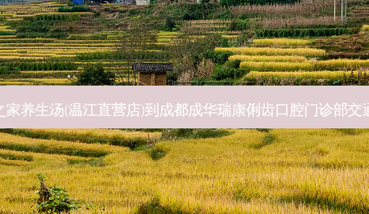 藕王之家养生汤(温江直营店)到成都成华瑞康俐齿口腔门诊部交通路线-第1张图片-臻颜网 藕王之家养生汤(温江直营店)到成都成华瑞康俐齿口腔门诊部交通路线-第1张图片-臻颜网