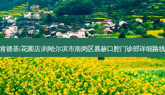 肯德基(花圃店)到哈尔滨市南岗区嘉赫口腔门诊部详细路线-第1张图片-臻颜网 肯德基(花圃店)到哈尔滨市南岗区嘉赫口腔门诊部详细路线-第1张图片-臻颜网