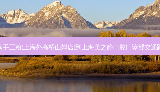 小满手工粉(上海外高桥山姆店)到上海美之静口腔门诊部交通路线-第1张图片-臻颜网 小满手工粉(上海外高桥山姆店)到上海美之静口腔门诊部交通路线-第1张图片-臻颜网