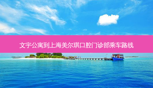文宇公寓到上海美尔琪口腔门诊部乘车路线-第1张图片-臻颜网 文宇公寓到上海美尔琪口腔门诊部乘车路线-第1张图片-臻颜网