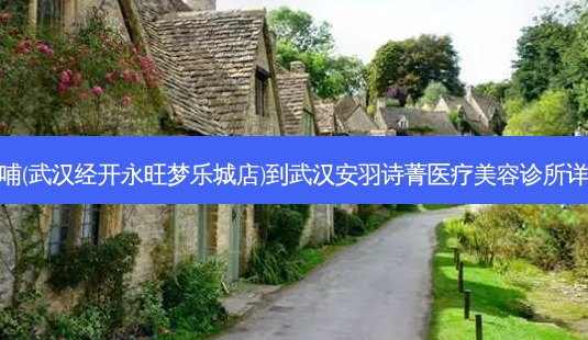呷哺呷哺(武汉经开永旺梦乐城店)到武汉安羽诗菁医疗美容诊所详细路线-第1张图片-臻颜网 呷哺呷哺(武汉经开永旺梦乐城店)到武汉安羽诗菁医疗美容诊所详细路线-第1张图片-臻颜网