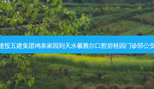 甘肃建投五建集团鸿泰家园到天水羲雅尔口腔碧桂园门诊部公交路线-第1张图片-臻颜网 甘肃建投五建集团鸿泰家园到天水羲雅尔口腔碧桂园门诊部公交路线-第1张图片-臻颜网