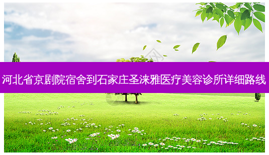 河北省京剧院宿舍到石家庄圣涞雅医疗美容诊所详细路线-第1张图片-臻颜网 河北省京剧院宿舍到石家庄圣涞雅医疗美容诊所详细路线-第1张图片-臻颜网