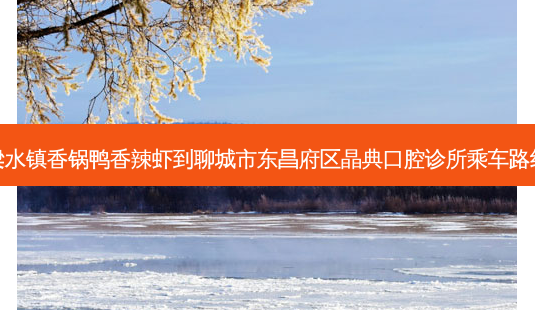 梁水镇香锅鸭香辣虾到聊城市东昌府区晶典口腔诊所乘车路线-第1张图片-臻颜网 梁水镇香锅鸭香辣虾到聊城市东昌府区晶典口腔诊所乘车路线-第1张图片-臻颜网