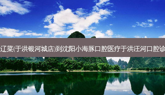 百富源·海鲜辽菜(于洪银河城店)到沈阳小海豚口腔医疗于洪汪河口腔诊所出行路线-第1张图片-臻颜网 百富源·海鲜辽菜(于洪银河城店)到沈阳小海豚口腔医疗于洪汪河口腔诊所出行路线-第1张图片-臻颜网