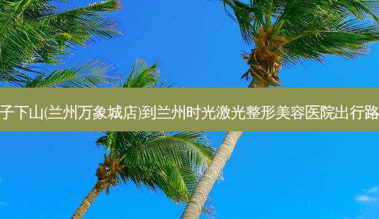 厨子下山(兰州万象城店)到兰州时光激光整形美容医院出行路线-第1张图片-臻颜网 厨子下山(兰州万象城店)到兰州时光激光整形美容医院出行路线-第1张图片-臻颜网