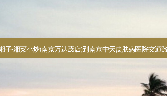 兰湘子·湘菜小炒(南京万达茂店)到南京中天皮肤病医院交通路线-第1张图片-臻颜网 兰湘子·湘菜小炒(南京万达茂店)到南京中天皮肤病医院交通路线-第1张图片-臻颜网