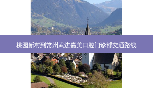 桃园新村到常州武进嘉美口腔门诊部交通路线-第1张图片-臻颜网 桃园新村到常州武进嘉美口腔门诊部交通路线-第1张图片-臻颜网