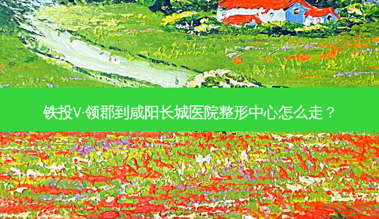 铁投V·领郡到咸阳长城医院整形中心怎么走?-第1张图片-臻颜网 铁投V·领郡到咸阳长城医院整形中心怎么走?-第1张图片-臻颜网