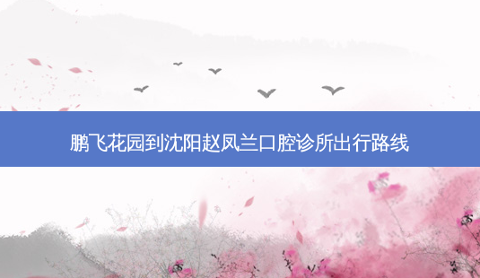 鹏飞花园到沈阳赵凤兰口腔诊所出行路线-第1张图片-臻颜网 鹏飞花园到沈阳赵凤兰口腔诊所出行路线-第1张图片-臻颜网