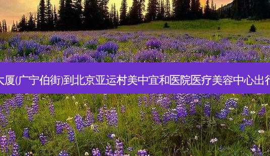 金泽大厦(广宁伯街)到北京亚运村美中宜和医院医疗美容中心出行路线-第1张图片-臻颜网 金泽大厦(广宁伯街)到北京亚运村美中宜和医院医疗美容中心出行路线-第1张图片-臻颜网