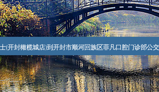 华莱士(开封橄榄城店)到开封市顺河回族区菲凡口腔门诊部公交路线-第1张图片-臻颜网 华莱士(开封橄榄城店)到开封市顺河回族区菲凡口腔门诊部公交路线-第1张图片-臻颜网
