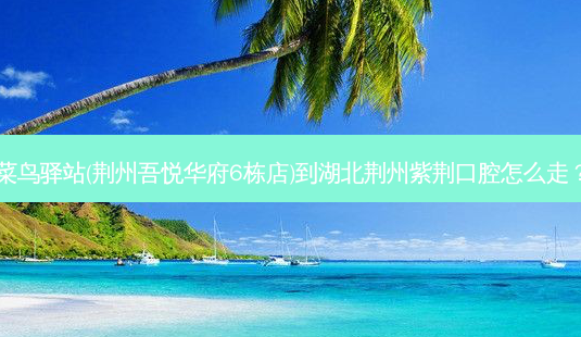 菜鸟驿站(荆州吾悦华府6栋店)到湖北荆州紫荆口腔怎么走?-第1张图片-臻颜网 菜鸟驿站(荆州吾悦华府6栋店)到湖北荆州紫荆口腔怎么走?-第1张图片-臻颜网