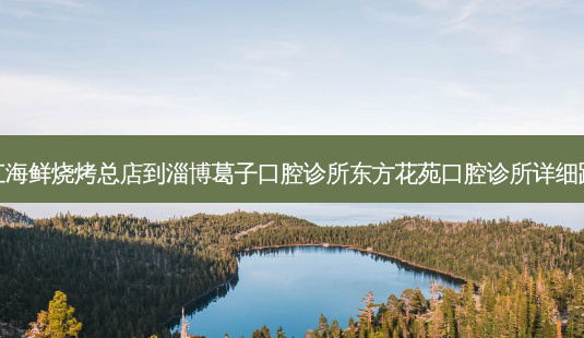 龙江海鲜烧烤总店到淄博葛子口腔诊所东方花苑口腔诊所详细路线-第1张图片-臻颜网 龙江海鲜烧烤总店到淄博葛子口腔诊所东方花苑口腔诊所详细路线-第1张图片-臻颜网