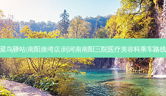菜鸟驿站(南阳唐湾店)到河南南阳三院医疗美容科乘车路线-第1张图片-臻颜网 菜鸟驿站(南阳唐湾店)到河南南阳三院医疗美容科乘车路线-第1张图片-臻颜网