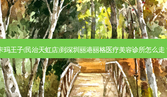 卡玛王子(民治天虹店)到深圳丽港丽格医疗美容诊所怎么走?-第1张图片-臻颜网 卡玛王子(民治天虹店)到深圳丽港丽格医疗美容诊所怎么走?-第1张图片-臻颜网